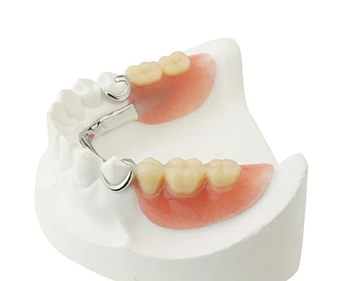 Partial Dentures-img